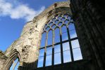 PICTURES/Edinbugh -Palace of Holyroodhouse & Holyrood Abbey/t_Abbey Window1.JPG